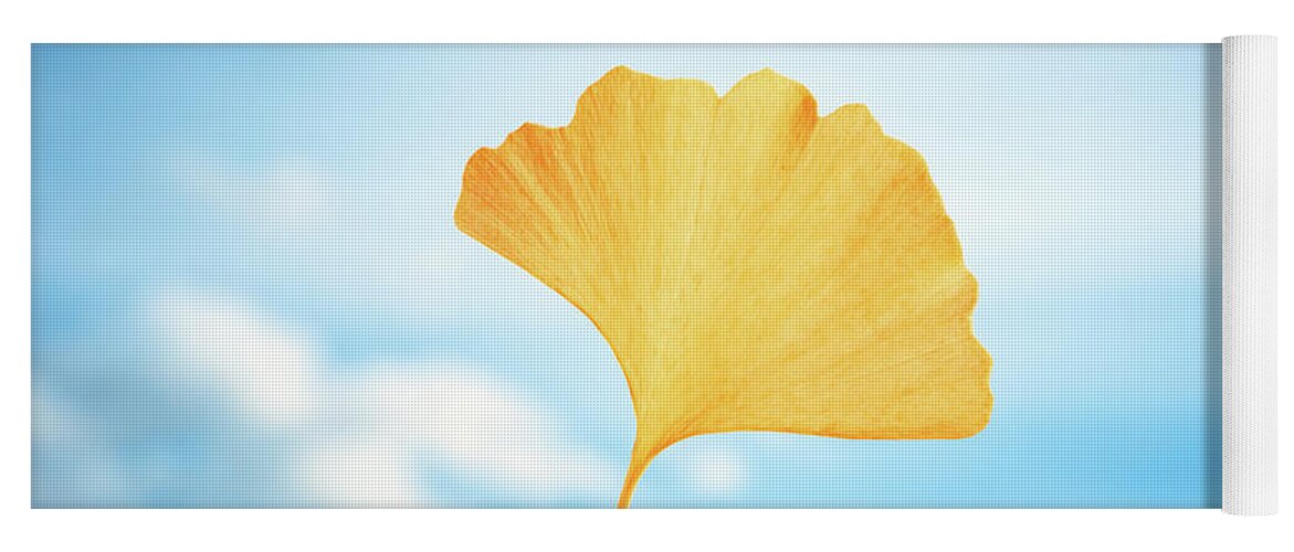 Ginkgo Yoga Mat featuring the photograph Gingko in the Sky by Philippe Sainte-Laudy