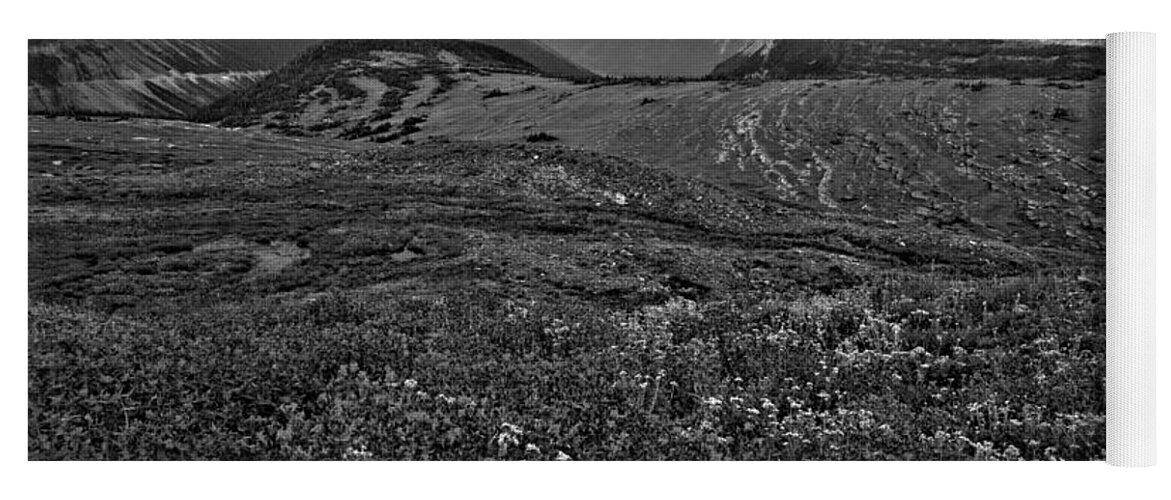 Logan Pass Yoga Mat featuring the photograph Glacier Landscape Of Color Black And White by Adam Jewell