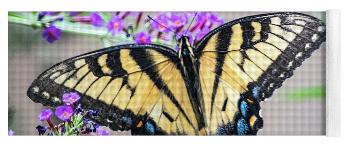 Eastern Tiger Swallowtail Butterfly Yoga Mat featuring the photograph Glorious Swallowtail by Mary Ann Artz