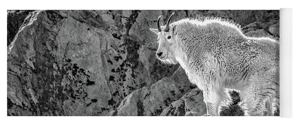 Mountain Yoga Mat featuring the photograph Goat on High by Melissa Lipton