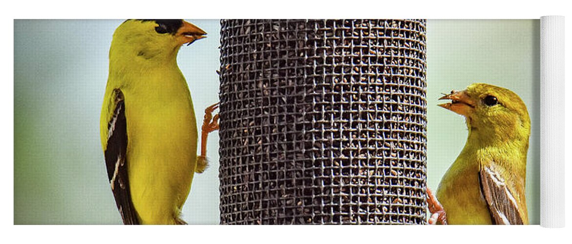 Gold Finch Symmetry Yoga Mat featuring the photograph Gold Finch Symmetry by Michelle Wittensoldner