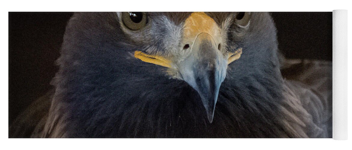 Eagle Yoga Mat featuring the photograph Golden Eagle I by Al Griffin