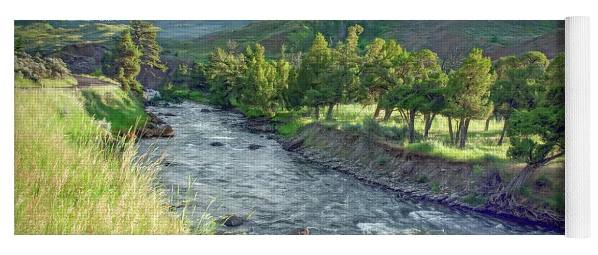 Yellowstone National Park Yoga Mat featuring the photograph Golden Light Along the Yellowstone River by Marcy Wielfaert