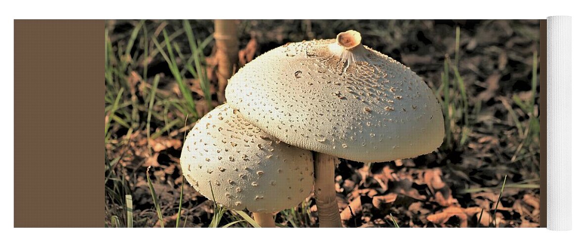 Nature Yoga Mat featuring the photograph Golden Mushroom Duo by Sheila Brown