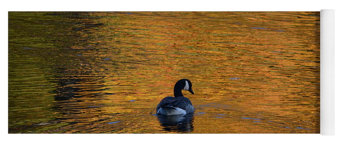 Geese Yoga Mat featuring the photograph Goose Swimming In Autumn Colors by Dani McEvoy