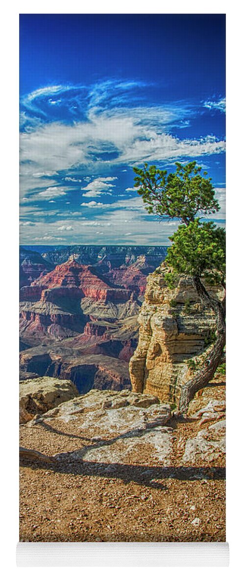 Usa Yoga Mat featuring the photograph Grand Canyon Springs New Life by Ken Johnson