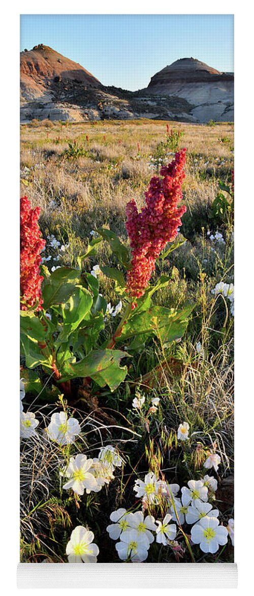 Ruby Mountain Yoga Mat featuring the photograph Grand Junction Wildflowers by Ray Mathis