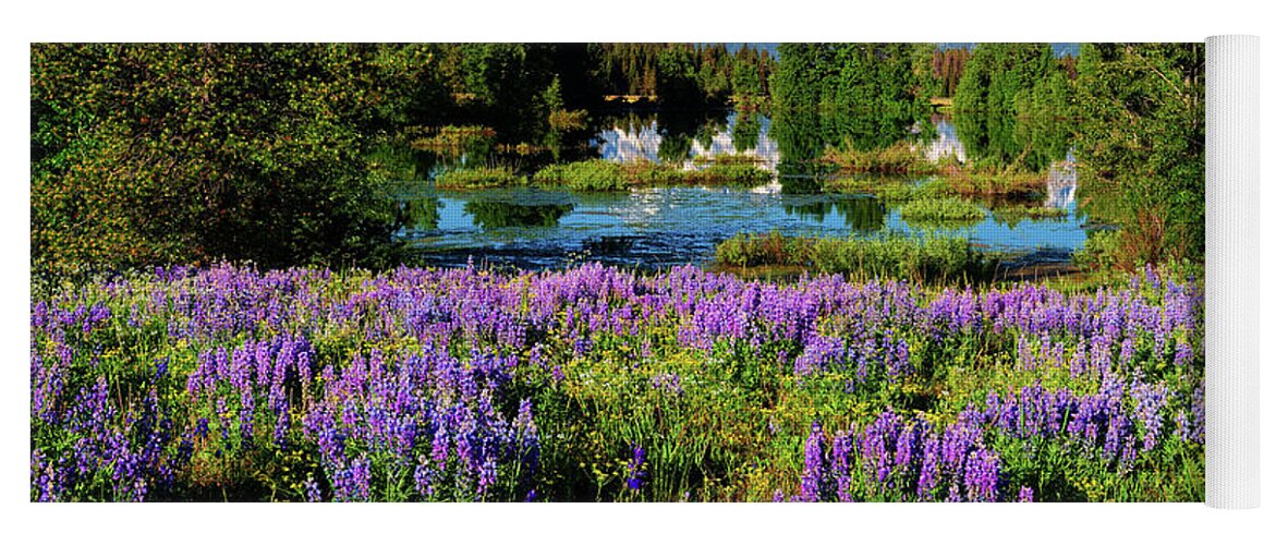Grand Teton National Park Yoga Mat featuring the photograph Grand Teton Lovely Lupines by Greg Norrell