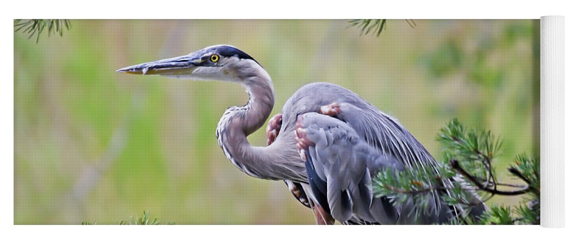 Great Blue Heron Yoga Mat featuring the photograph Great Blue Heron at Claytor Lake State Park by Kerri Farley