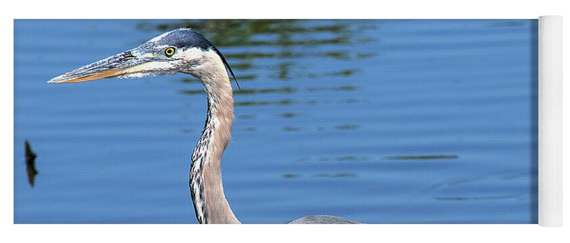 Nature Yoga Mat featuring the photograph Great Blue Heron DMSB0167 by Gerry Gantt