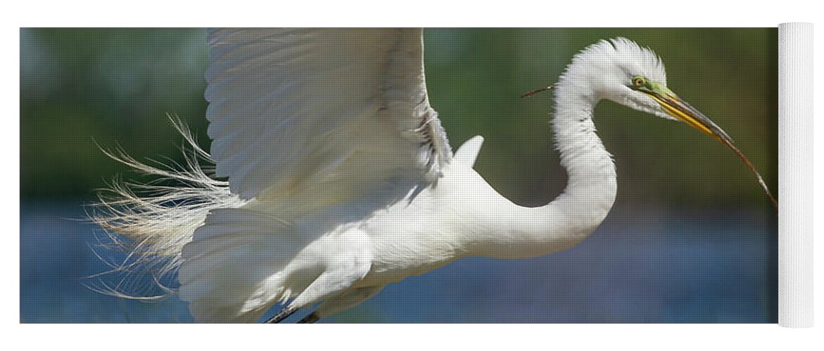 Great Egret Yoga Mat featuring the photograph Great Egret 2014-1 by Thomas Young