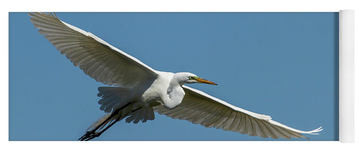 Great Egret Yoga Mat featuring the photograph Great Egret 2014-2 by Thomas Young