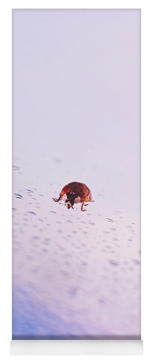 Ladybug Yoga Mat featuring the photograph Great Return Of Ladybug by Jaroslav Buna