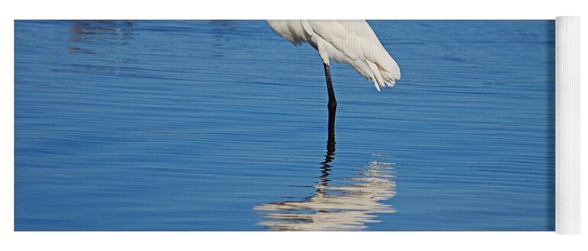 Great White Egret Yoga Mat featuring the photograph Great White Egret at Ding I by Michiale Schneider