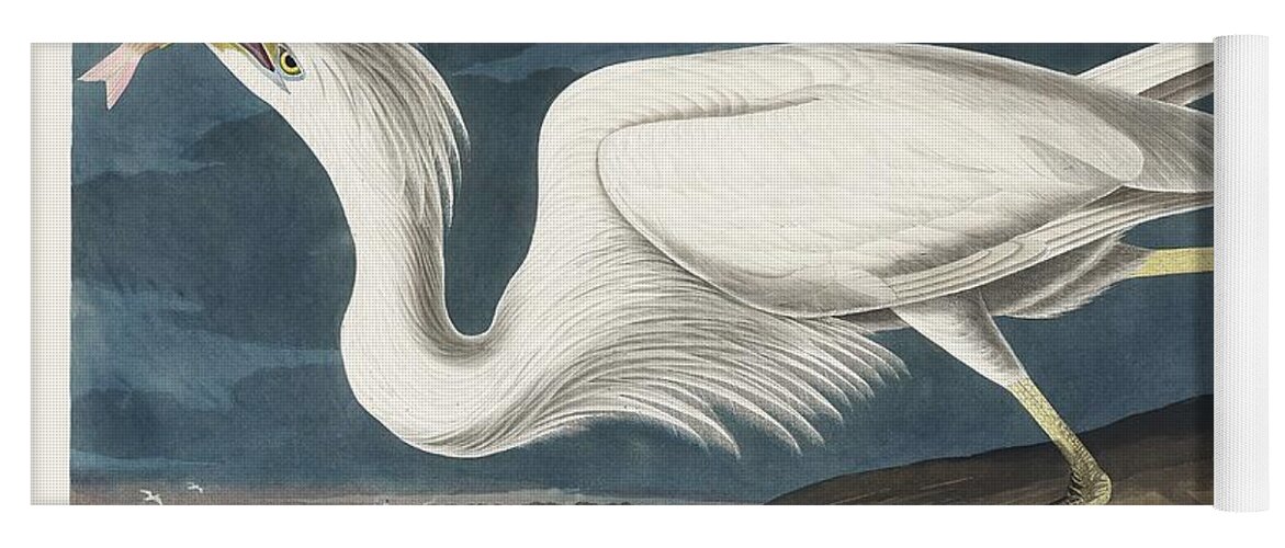 Duck Yoga Mat featuring the painting Great White Heron from Birds of America 1827 by John James Audubon 1785 - 1851 , etched by Rober by John James Audubon