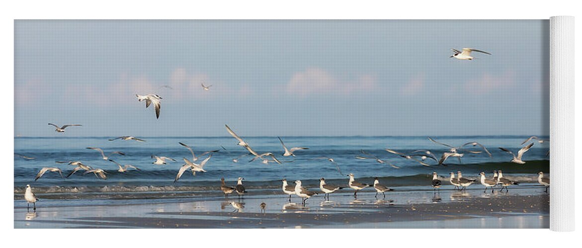 Gulls Yoga Mat featuring the photograph Gulls and Terns on the Beach by Lisa Malecki
