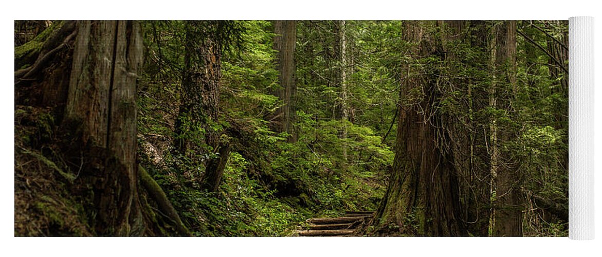 Hiking Trail Yoga Mat featuring the photograph Hiking in Mt. Rainier, Washington by Julieta Belmont