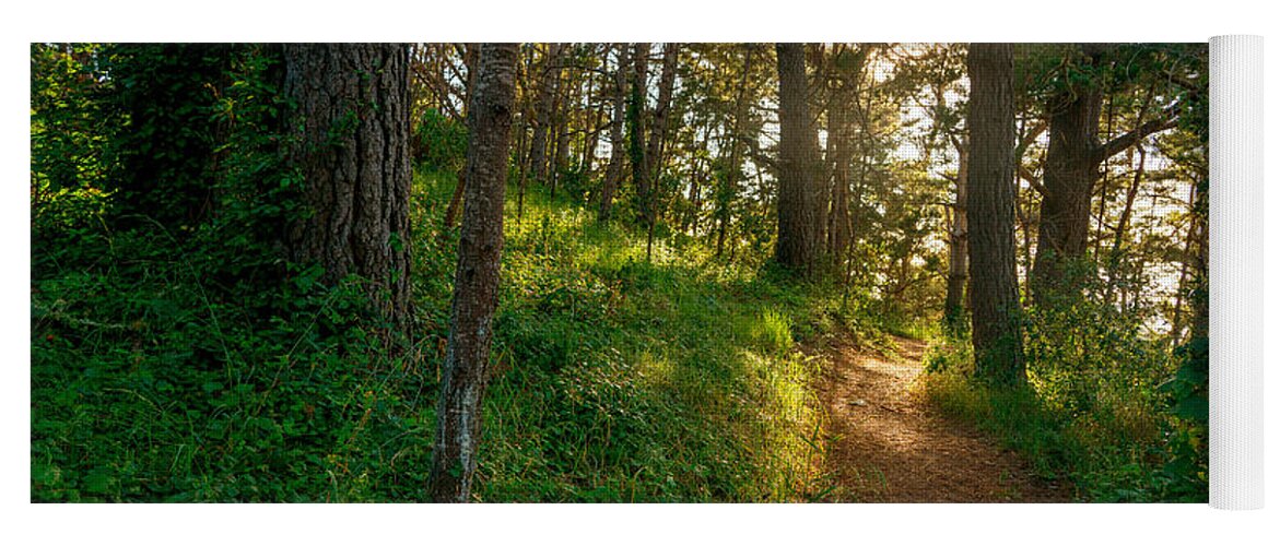 Hillside Path Yoga Mat featuring the photograph Hillside Path by Derek Dean
