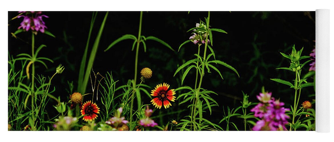 Texas Wildflowers Yoga Mat featuring the photograph Horsemint Tall II by Johnny Boyd