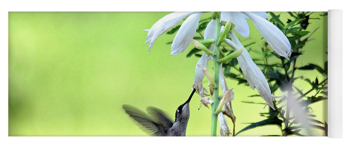 Hummingbird Yoga Mat featuring the photograph Hummingbird and Hosta Flowers by Trina Ansel