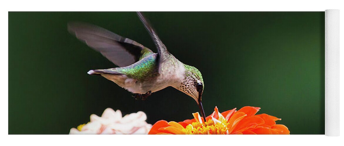 Hummingbird Yoga Mat featuring the photograph Hummingbird in Flight with Orange Zinnia Flower by Christina Rollo