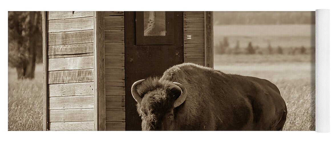 Bison Yoga Mat featuring the photograph Hurry, I Gotta Go by Mary Hone