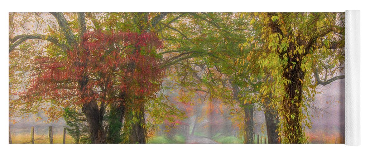 Cades Cove Yoga Mat featuring the photograph In the Light of Autumn by Marcy Wielfaert