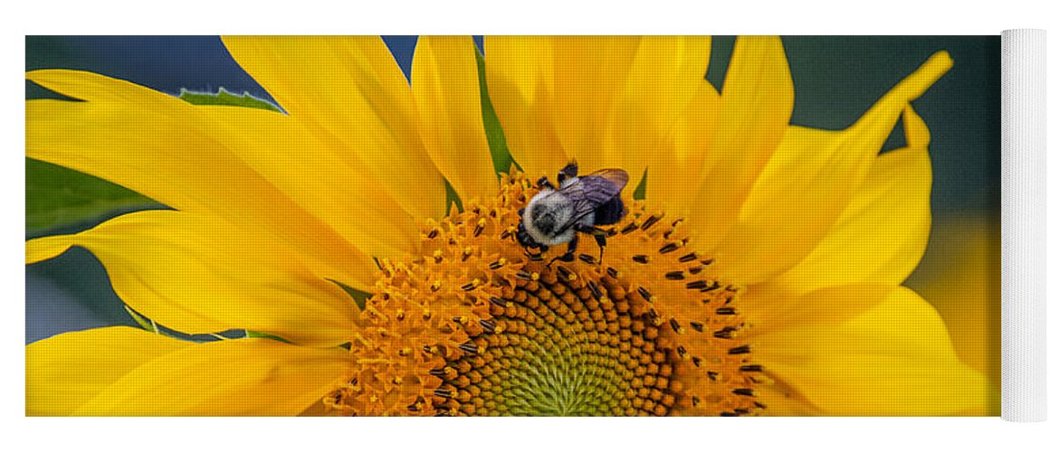 Sunflower Yoga Mat featuring the photograph It's a Good Day by Linda Bonaccorsi
