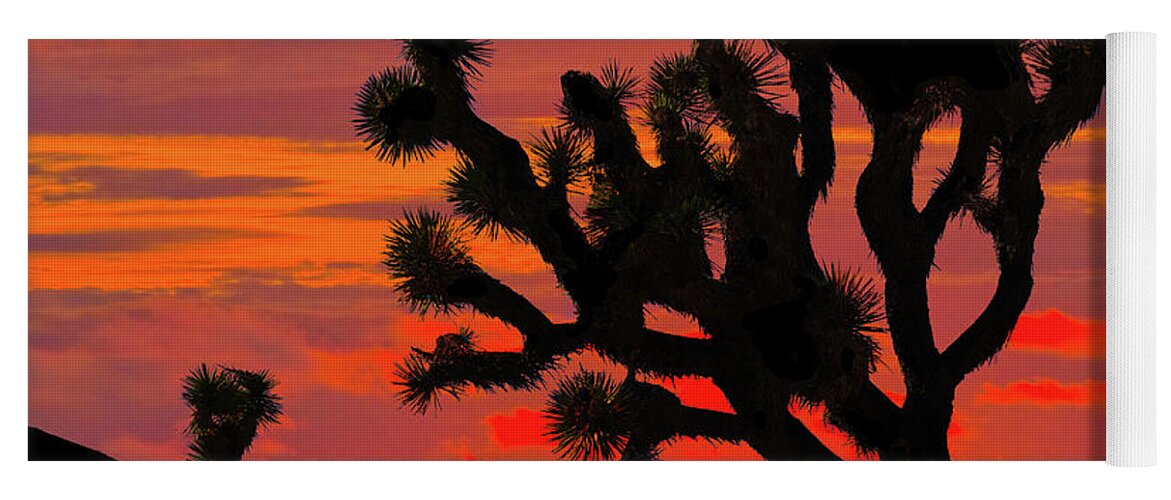 Arid Climate Yoga Mat featuring the photograph Joshua Tree at Sunset by Jeff Goulden