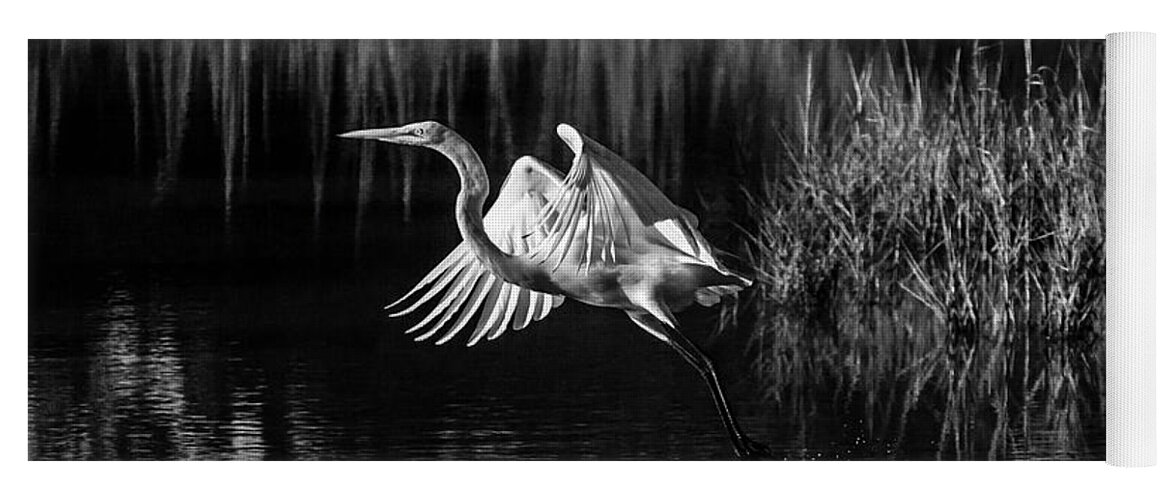 Egret Yoga Mat featuring the photograph Jump Start by Ray Silva
