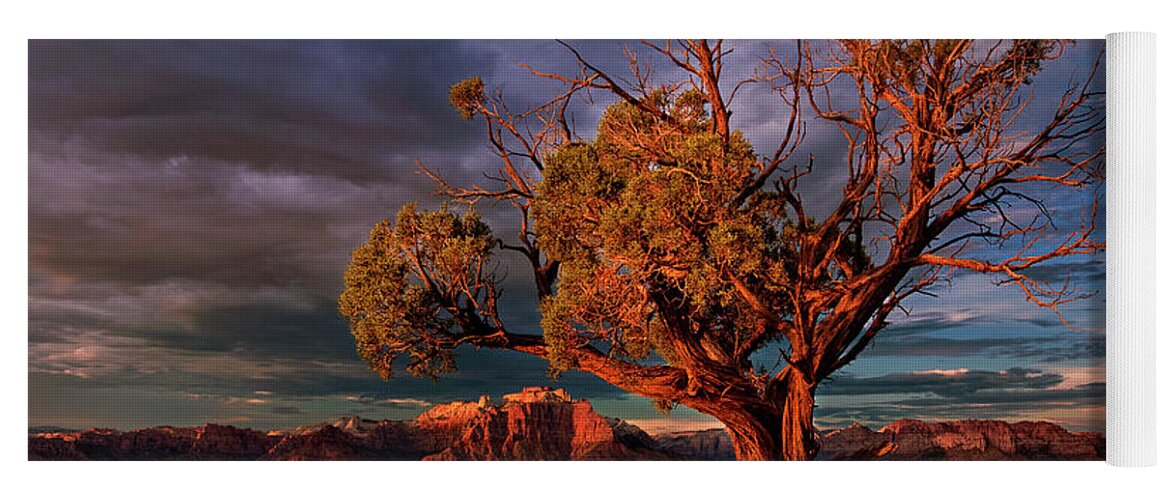 Davw Welling Yoga Mat featuring the photograph Juniper And Storm Back Of Zion National Park Utah by Dave Welling