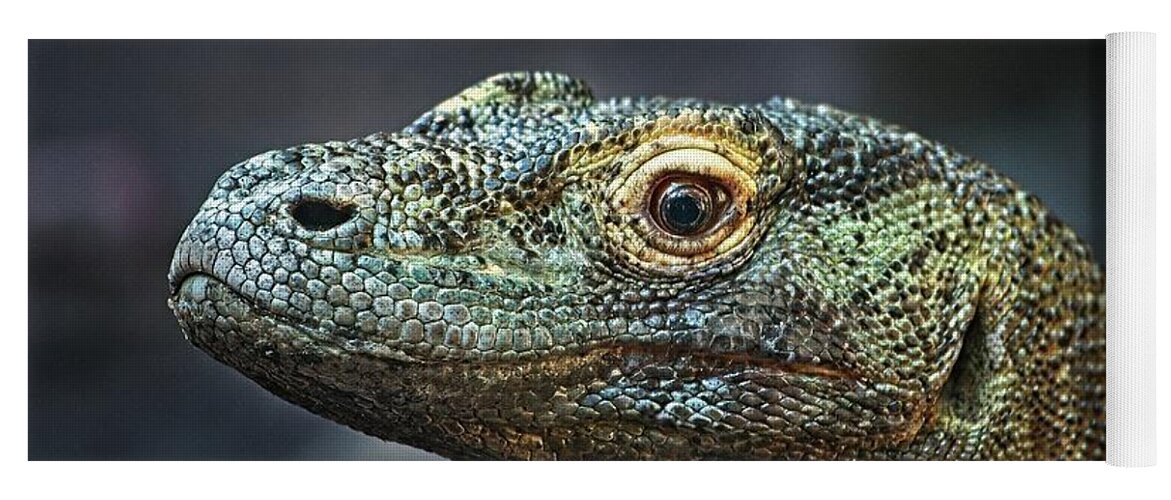 Reptile Yoga Mat featuring the photograph Komodo Dragon by Steve DaPonte