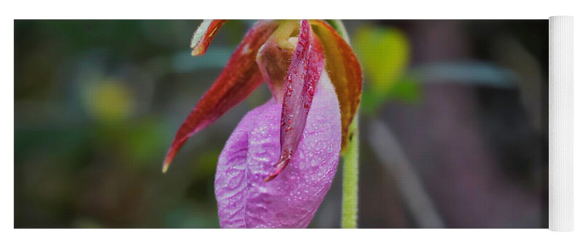 Macro Photography Yoga Mat featuring the photograph Lady Slipper Orchid by Meta Gatschenberger