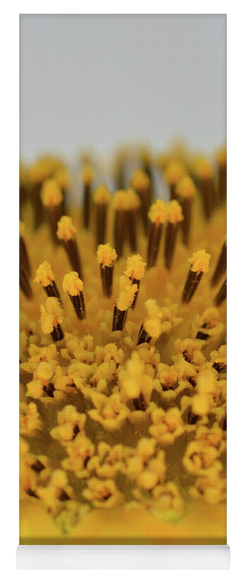 Sunny Yoga Mat featuring the photograph Large Yellow Sunflower Head by Jennifer Wallace