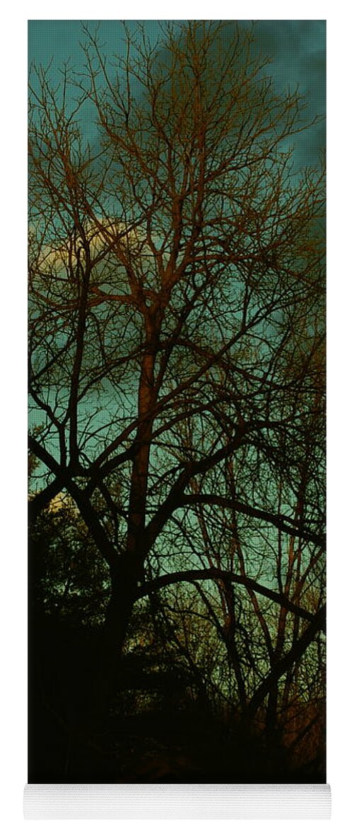 Nature Yoga Mat featuring the photograph Last Light After the Storm by Frank J Casella