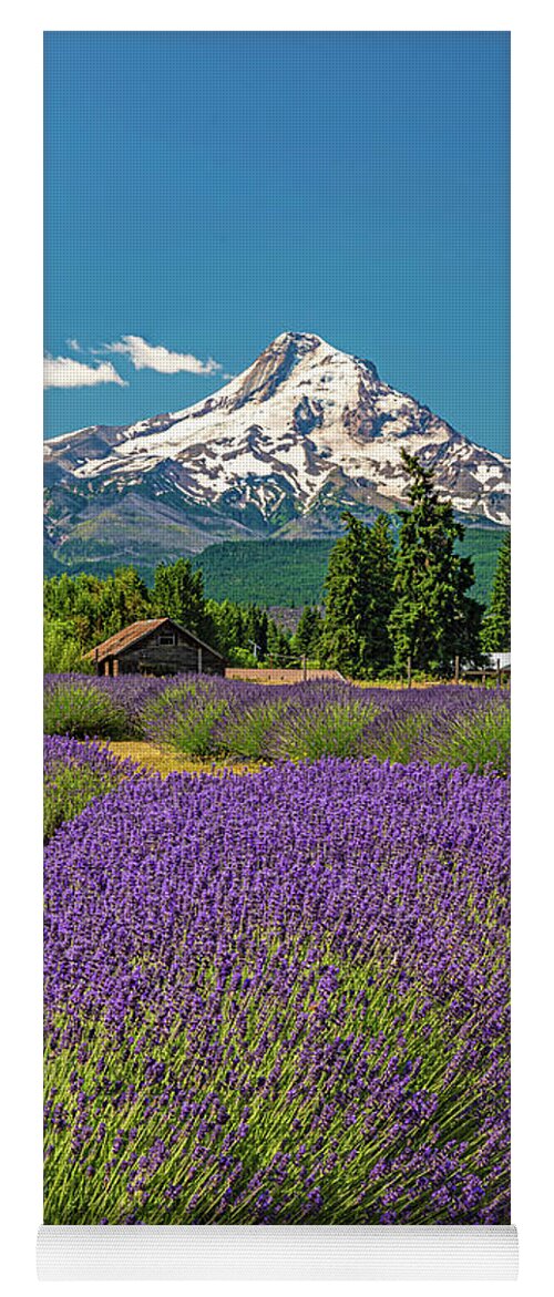  Yoga Mat featuring the photograph lavender and Mountain by Ulrich Burkhalter