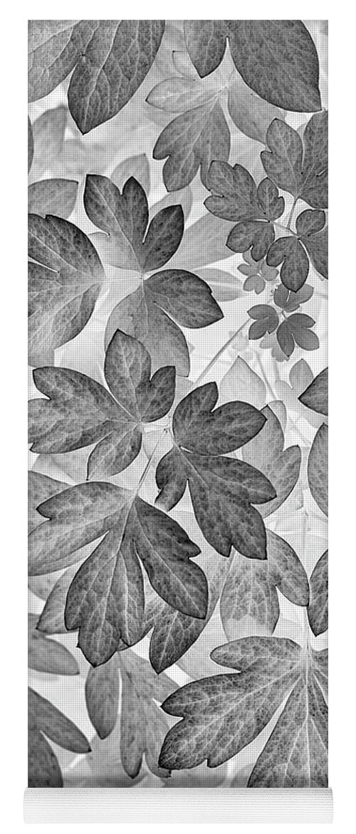 Leaves Yoga Mat featuring the photograph Leaves Black And White Plant Pattern by Christina Rollo