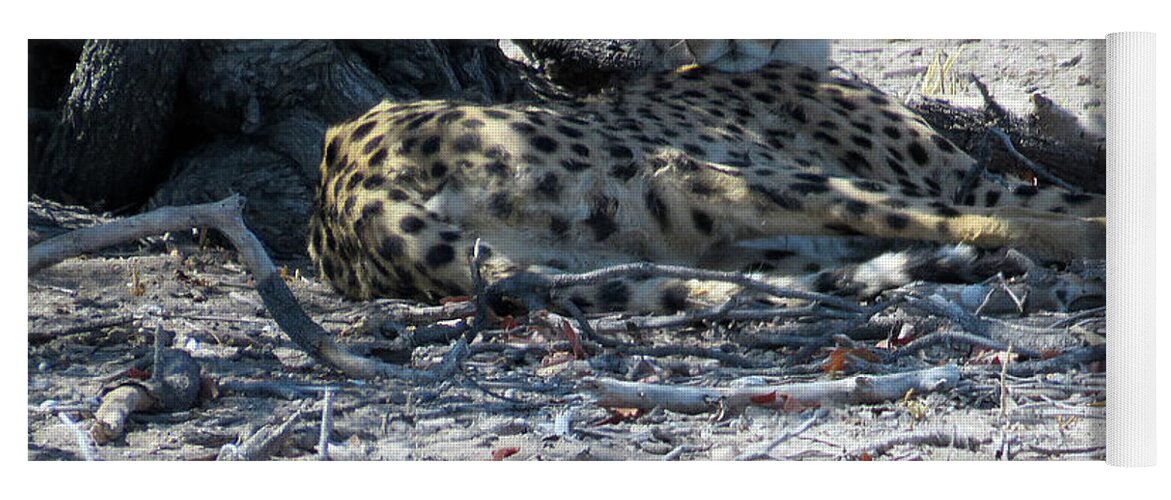 Cheetah Yoga Mat featuring the photograph Cheetah in the shade by Eric Pengelly