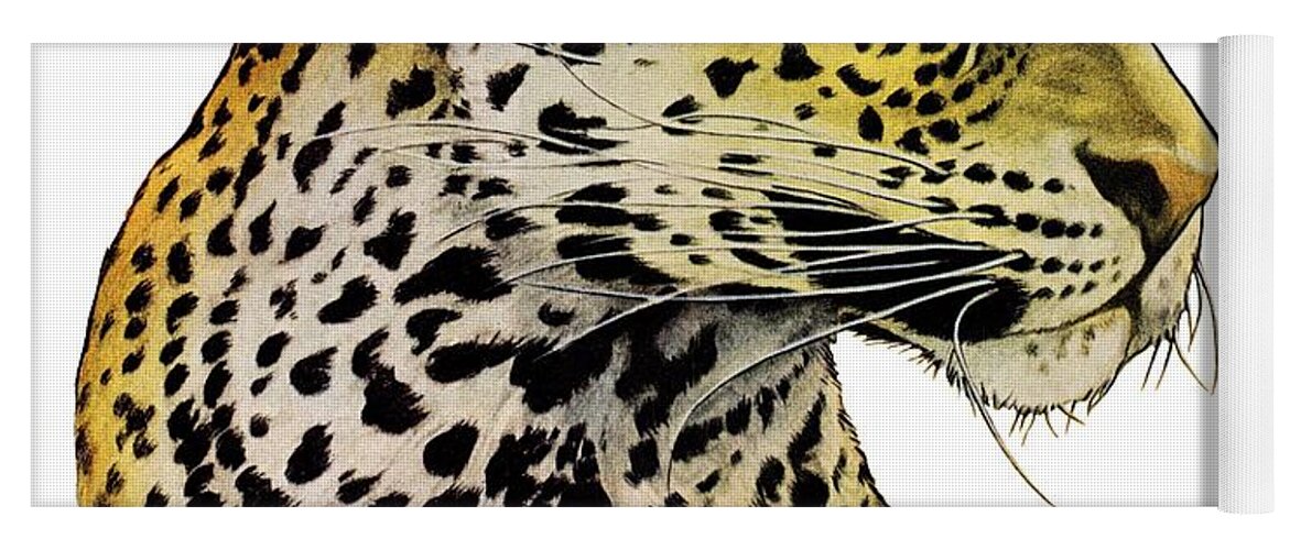 Leopard Yoga Mat by Jack Murray - Pixels