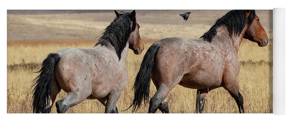 Wild Horses Yoga Mat featuring the photograph Let's all fly together by Mary Hone