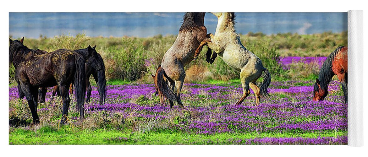 Horses Yoga Mat featuring the photograph Let's Dance by Greg Norrell