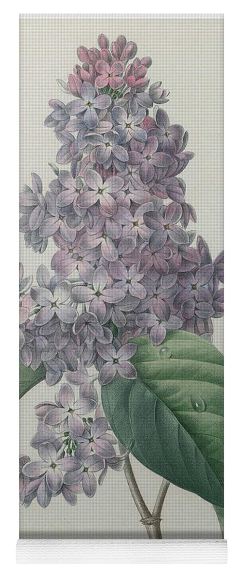Redoute Yoga Mat featuring the painting Lilacs by Pierre-Joseph Redoute