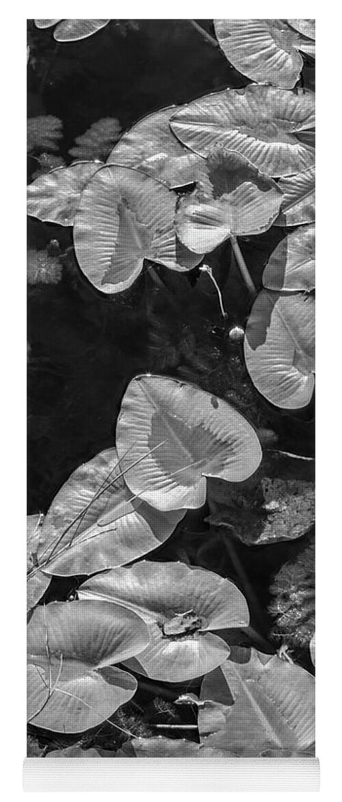 Everglades Yoga Mat featuring the photograph Lily Pads in Black and White by Debra and Dave Vanderlaan