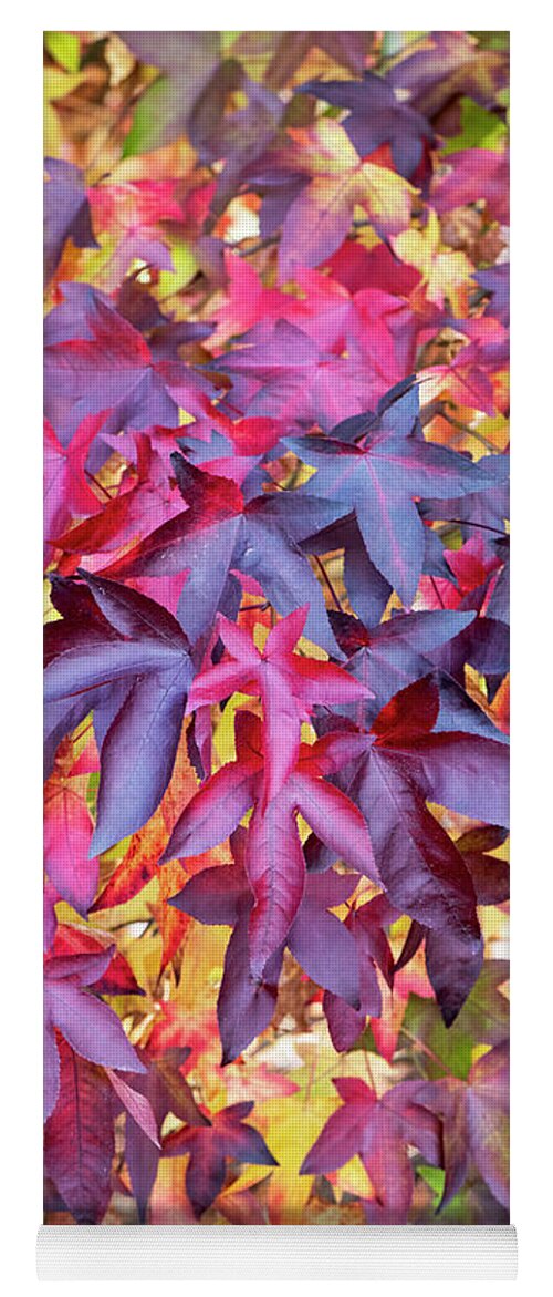 Liquidambar Styraciflua Yoga Mat featuring the photograph Liquidambar Foliage in Autumn by Tim Gainey