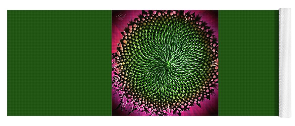 Abstract Yoga Mat featuring the photograph Little Shop of Horrors by Michael Frank