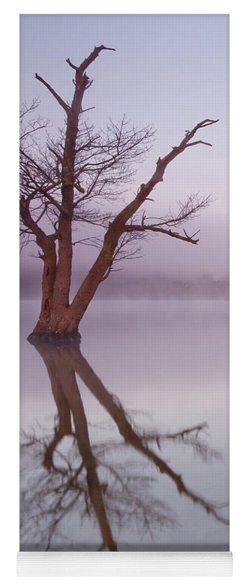 Landscape Yoga Mat featuring the photograph Lone tree in still lake in the mist at sunrise by Anita Nicholson