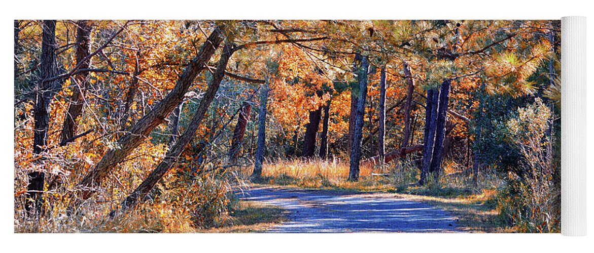 Gordons Pond Yoga Mat featuring the photograph Long and Winding Road at Gordon's Pond by Bill Swartwout