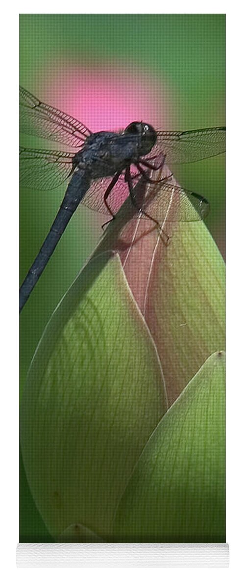 Lotus Yoga Mat featuring the photograph Lotus Bud and Slaty Skimmer Dragonfly DL0006 by Gerry Gantt