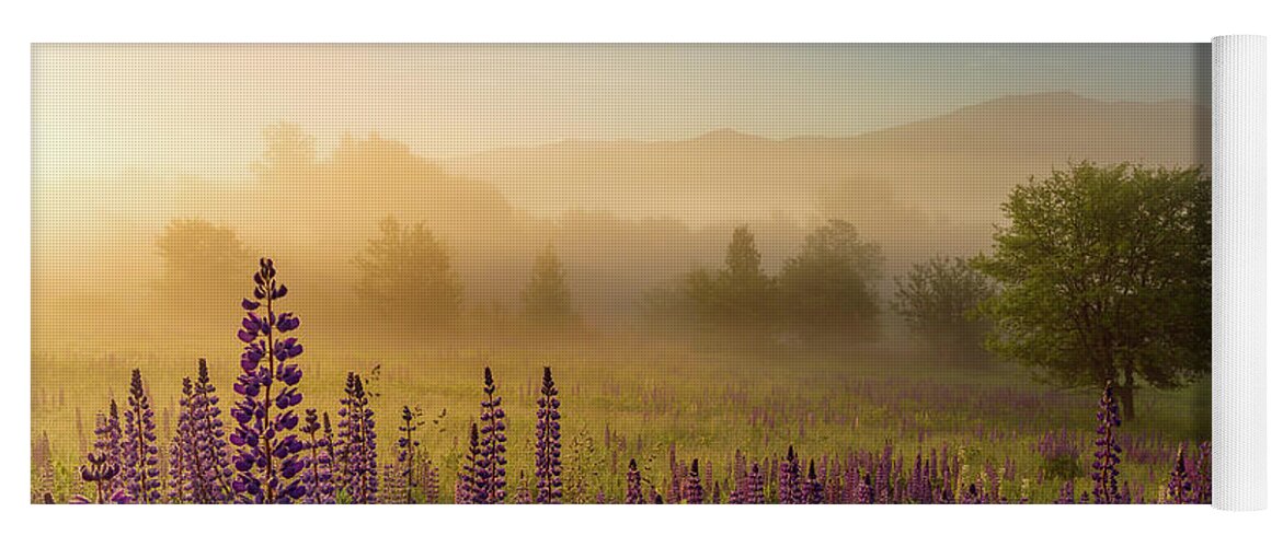 Amazing New England Artworks Yoga Mat featuring the photograph Lupine In The Fog, Sugar Hill, NH by Jeff Sinon