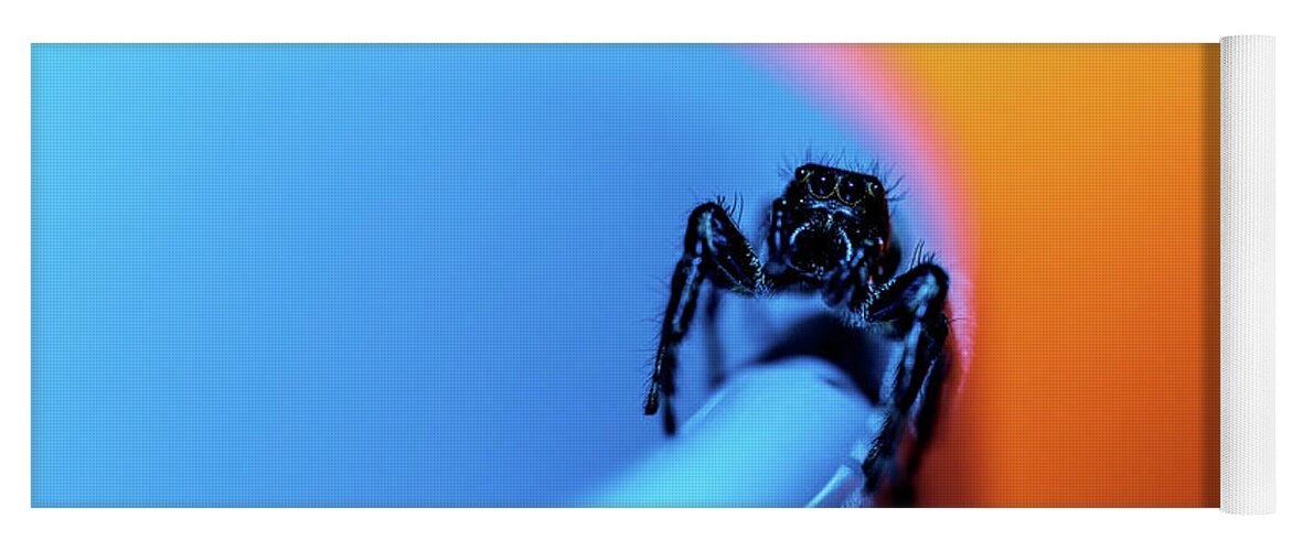 Animals Yoga Mat featuring the photograph Macro Photography - Jumping Spider by Amelia Pearn
